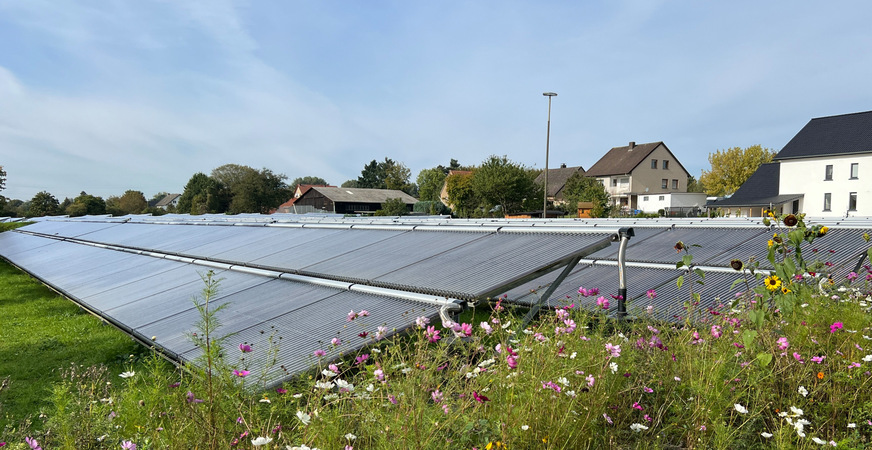 Das Foto zeigt eine große Solarthermie-Anlage in Lemgo, noch größer soll die Anlage in Stralsund werden.