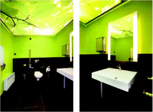 Das grüne barrierefreie WC: Ein leuchtender Blätterhimmel, Vogelgezwitscher, das Klopfen des Spechts und das Rascheln der Blätter im Wind sorgen für Wohlfühlambiente.