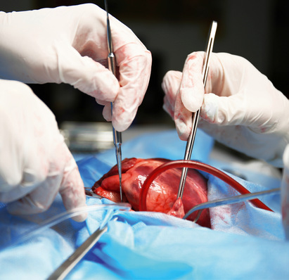 Alt-Text: „Fachkraft installiert innovative Heiztechnik, zeigt Einsatz moderner Werkzeuge zur Optimierung von Energieeffizienz in Gebäuden. - © Bild: Africa Studio - stock.adobe.com