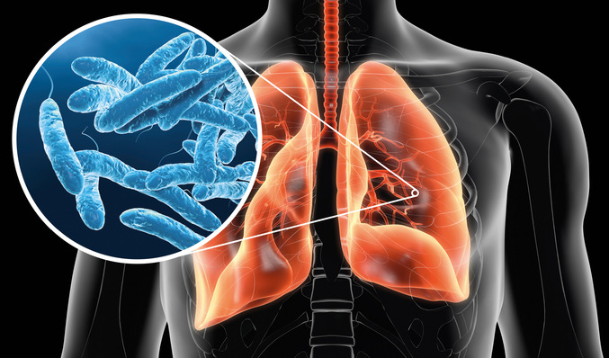 © Bild: Axel Kock - stock.adobe.com Das Einatmen von legionellenhaltigen, lungengängigen Aerosolen kann zu einer Gefährdung der menschlichen Gesundheit führen. Daher sind regelmäßige Trinkwasseruntersuchungen für viele Gebäude gesetzlich vorgeschrieben.