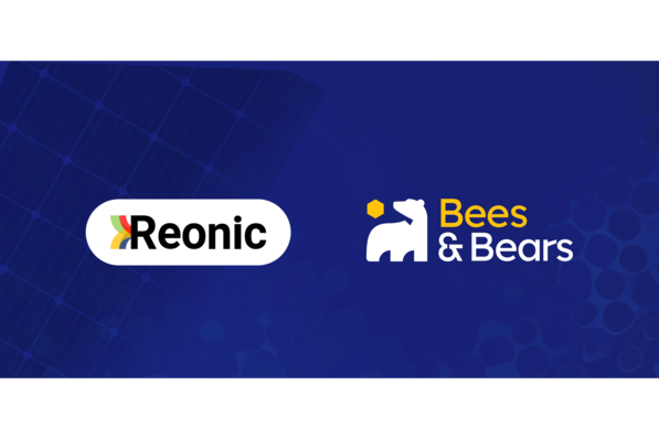 © Reonic / Bees & Bears